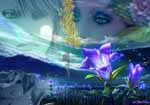 Night Fairy Dreams